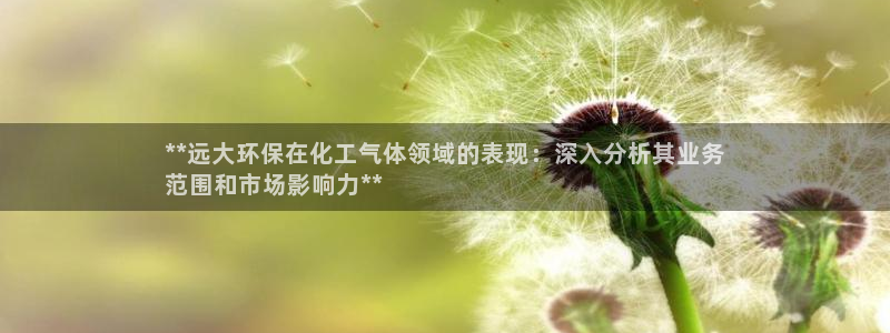 亿万先生用什么客户端：**远大环保在化工气体领域的表现：深入分析其业务
范围和市场影响力**