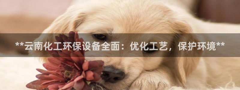 亿万先生情侣车有什么用