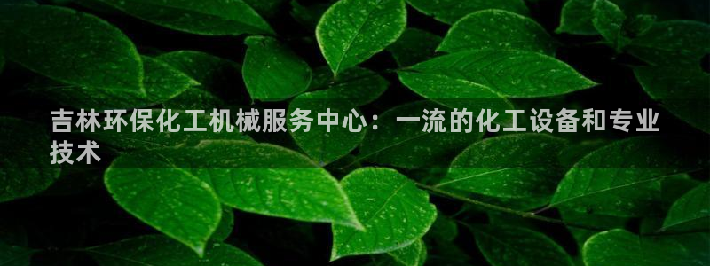亿万先生网页版下载：吉林环保化工机械服务中心：一流的化工设备和专业
技术