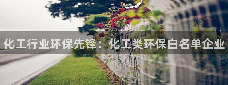 亿万先生mr008：化工行业环保先锋：化工类环保白名单企业