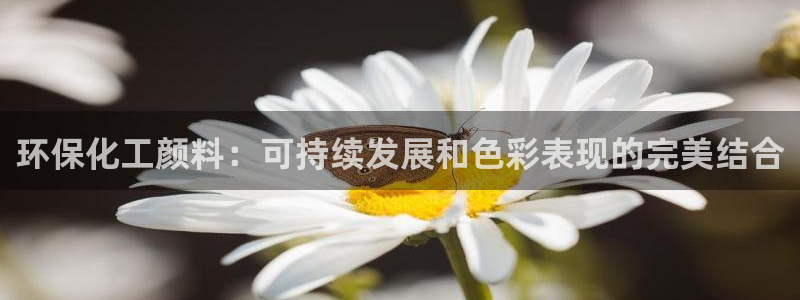 亿万手游官网网址：环保化工颜料：可持续发展和色彩表现的完美结合