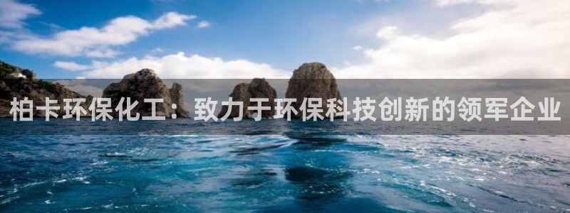 亿万千百十：柏卡环保化工：致力于环保科技创新的领军企业