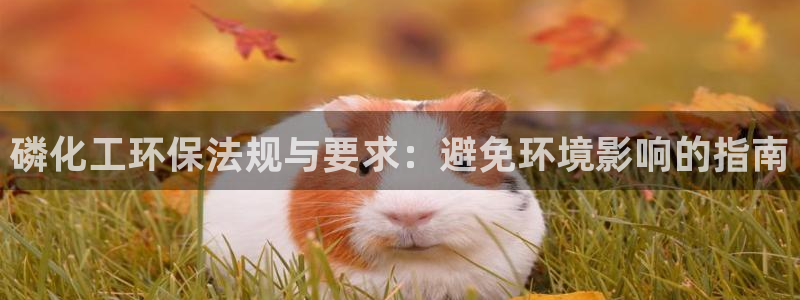 亿万的亿：磷化工环保法规与要求：避免环境影响的指南
