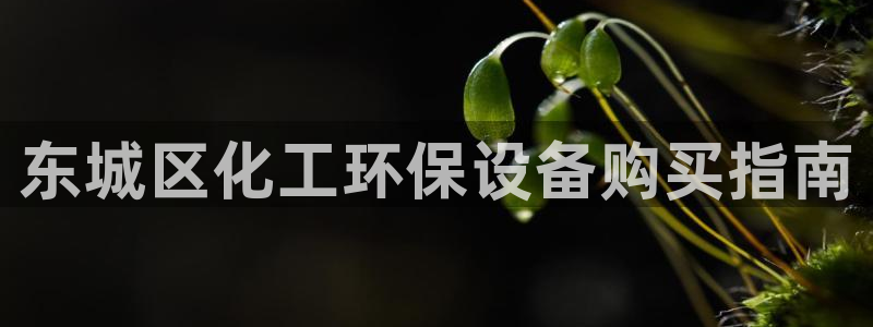 亿万先生是男是女：东城区化工环保设备购买指南