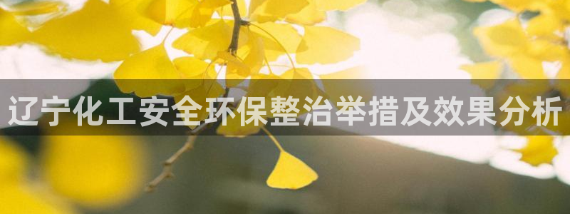 亿万同人字幕组的个人主页：辽宁化工安全环保整治举措及效果分析
