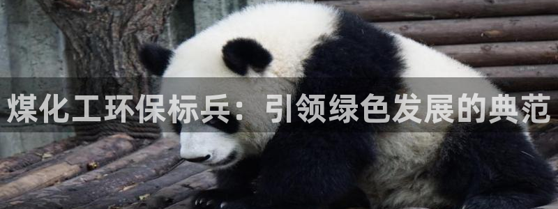 亿万先生mr07官网：煤化工环保标兵：引领绿色发展的典范