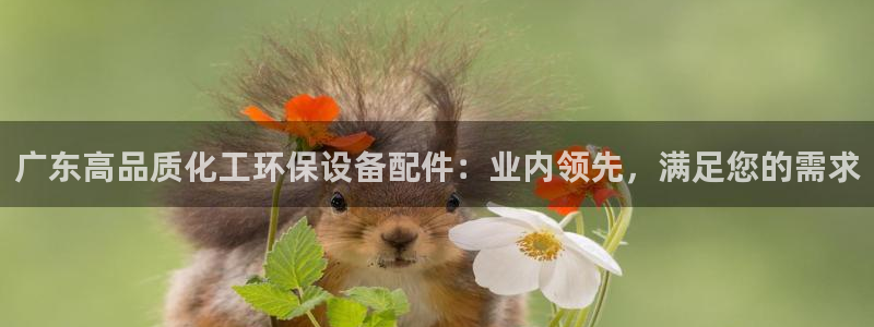 电视剧亿万：广东高品质化工环保设备配件：业内领先，满足您的需求