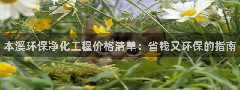 亿万笞人：本溪环保净化工程价格清单：省钱又环保的指南