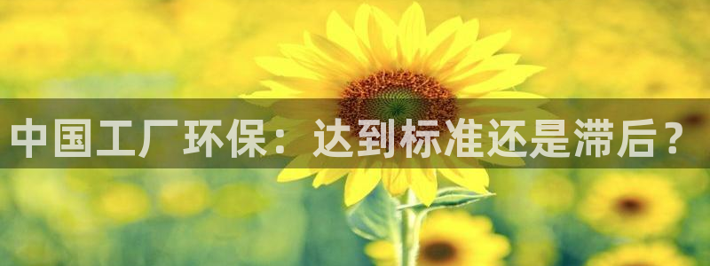 亿万集团有限公司：中国工厂环保：达到标准还是滞后？