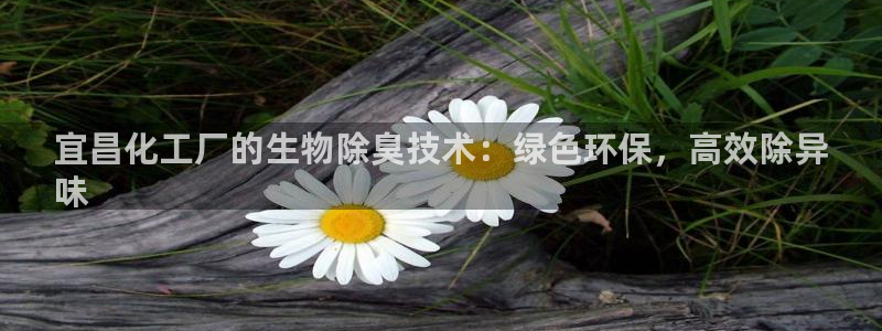 亿万先生手机版入：宜昌化工厂的生物除臭技术：绿色环保，高效除异
味