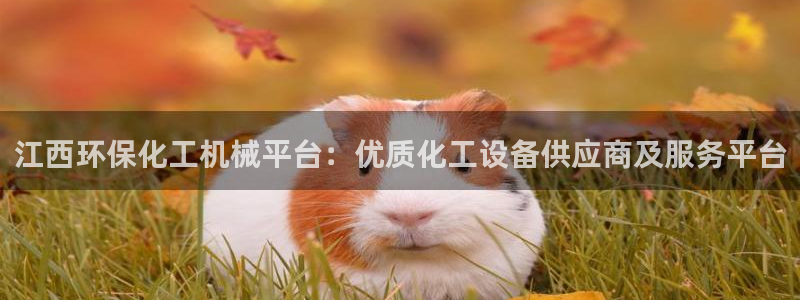 亿万官网字幕：江西环保化工机械平台：优质化工设备供应商及服务平台
