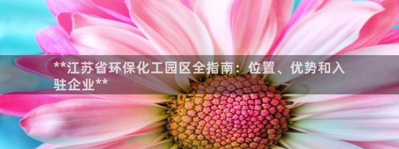 亿万先生手机网页：**江苏省环保化工园区全指南：位置、优势和入
驻企业**